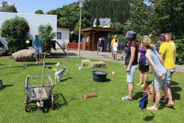 HSVFunGames_2015_032