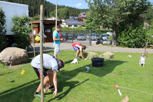 HSVFunGames_2015_177