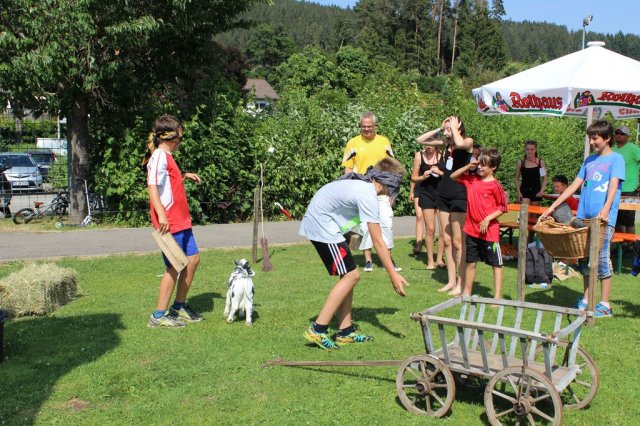 HSVFunGames_2015_178