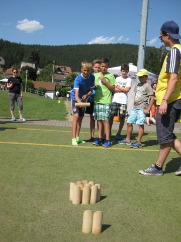 HSVFunGames_2015_305