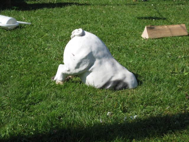 HSVFunGames_2015_334