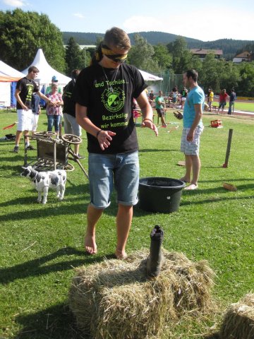 HSVFunGames_2015_408