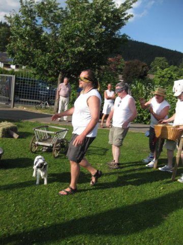 HSVFunGames_2015_430