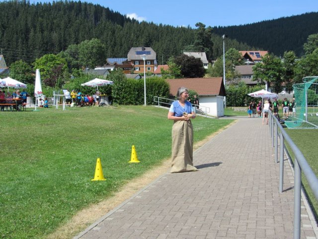 HSVFunGames_2015_473