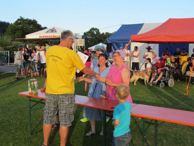 HSVFunGames_2015_580