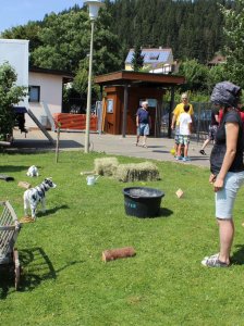 HSVFunGames_2015_032