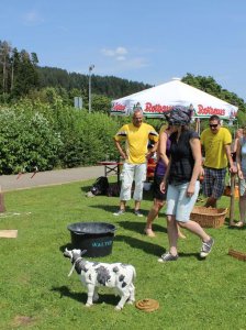 HSVFunGames_2015_033