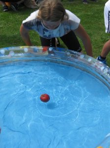 HSVFunGames_2015_109