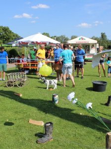 HSVFunGames_2015_189