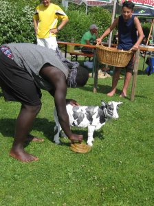 HSVFunGames_2015_213