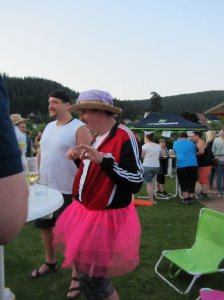 HSVFunGames_2015_592